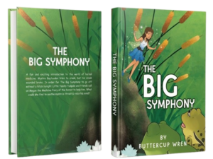 The Big Symphony - Hardcover