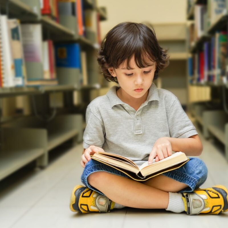 The Magic of Nature in Children's Books: Why Outdoor Storytelling Is a 2026 Trend 3 shutterstock 726182569